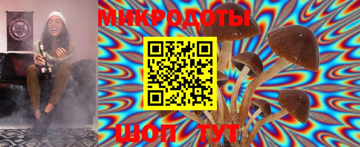 Тихвин  Галлюциногенные грибы прущие грибы  Вход с VPN 